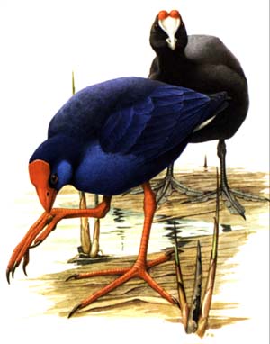 320 Illustration