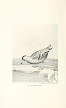 Biodiversity Heritage Library.jpg Biodiversity Heritage Library.jpg
