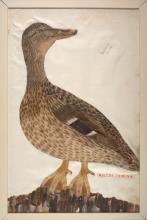 Feather Book.jpg Feather Book.jpg