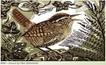 Wren woodcut.jpeg