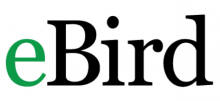 ebird-logo.png ebird-logo.png