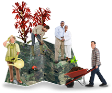 habitat network.png habitat network.png