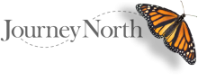 logo.png logo.png