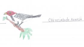 2018 chequejatode quenejaje.jpg 2018 chequejatode quenejaje.jpg