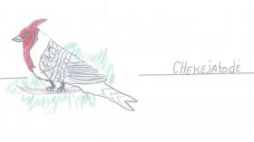 2018 chequejatode.jpg