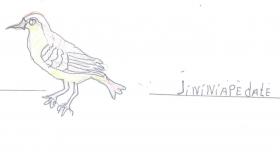 2018 jeninipe.jpg 2018 jeninipe.jpg